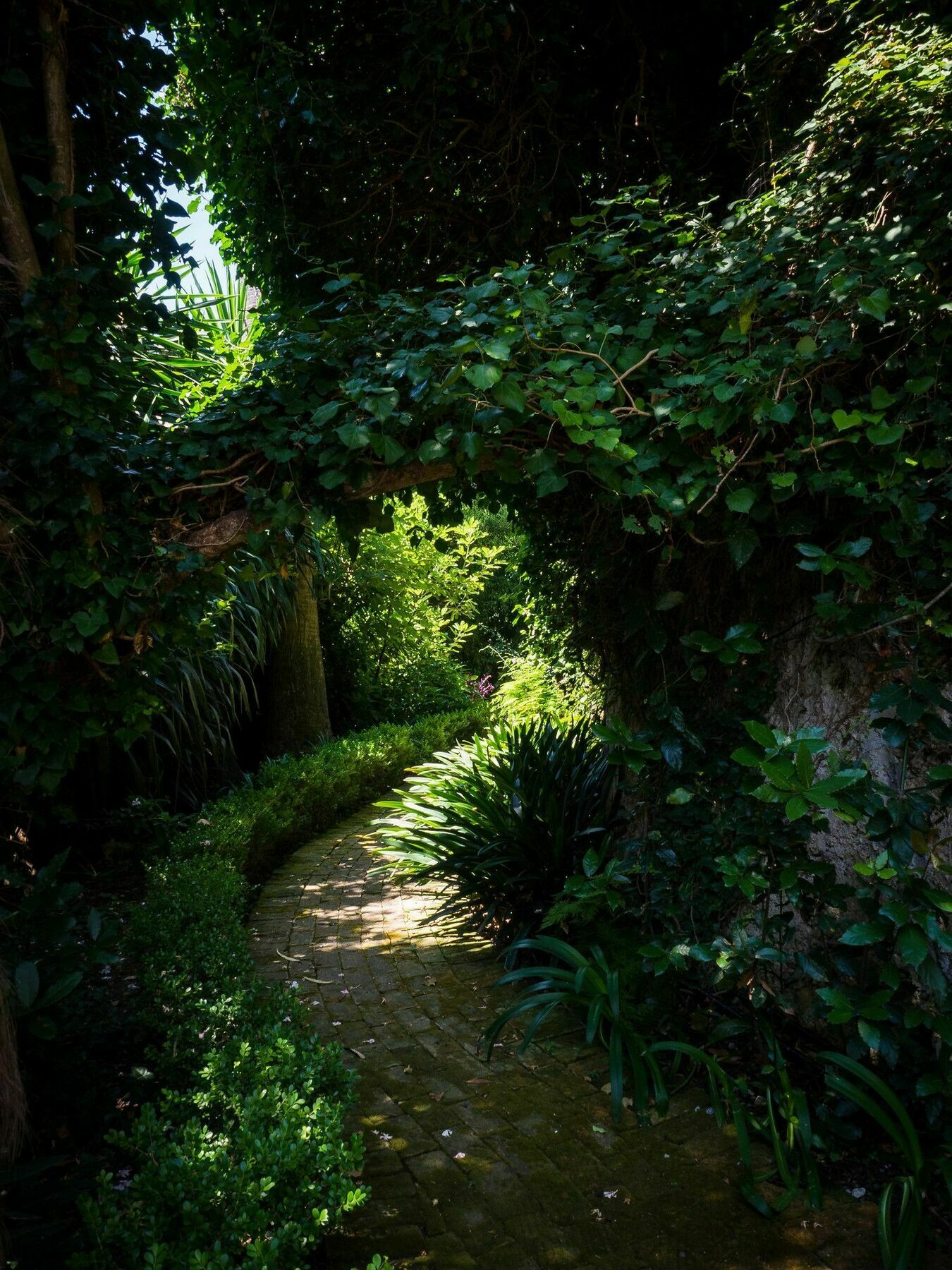 Villa Domenicale Ágios Márkos Exterior foto